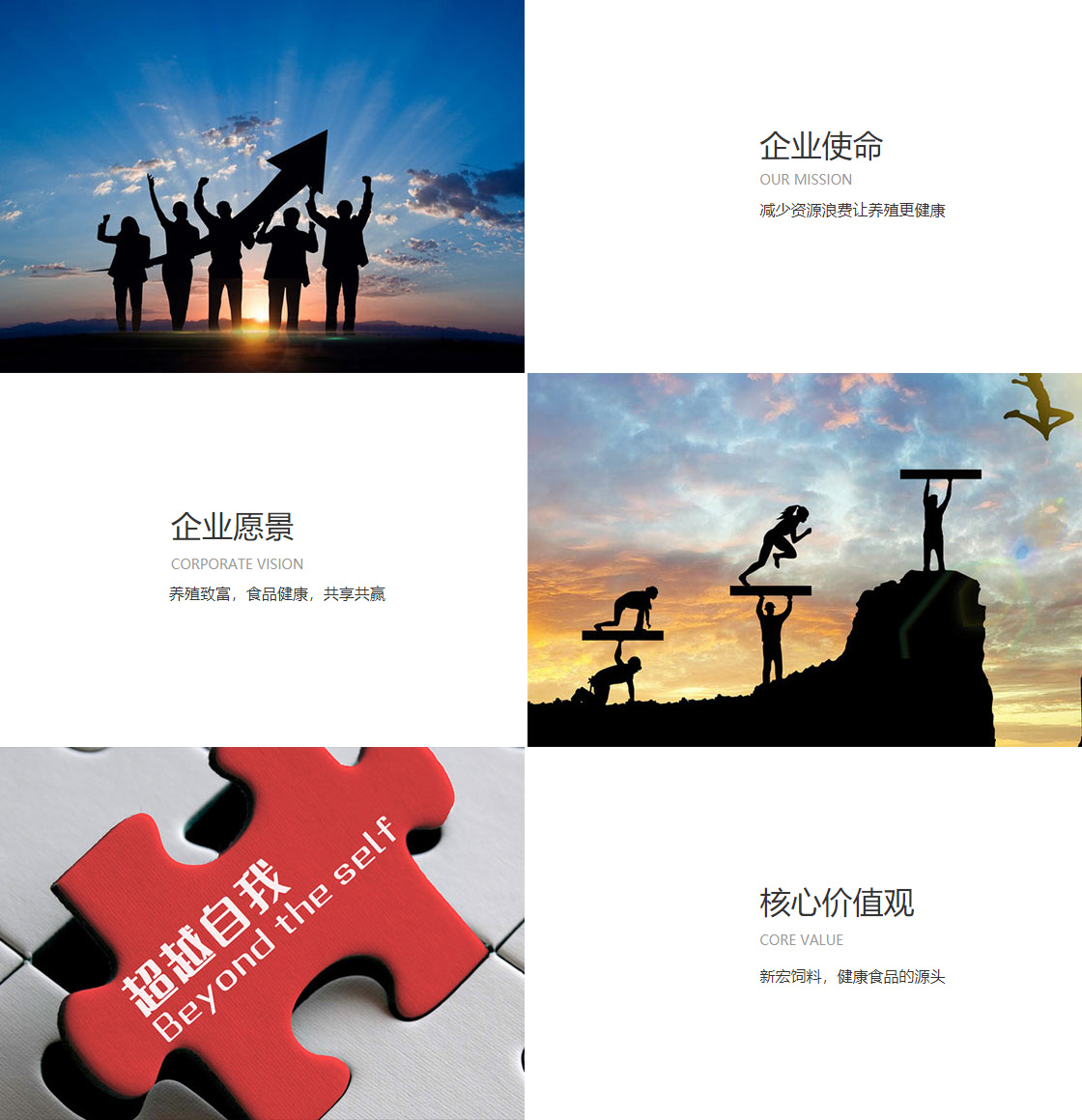 酷游九州ku(图1)